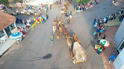 Chegada dos Carros de Bois - 10/08/2026