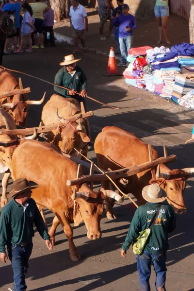 Chegada dos Carros de Bois - 10/08/2026