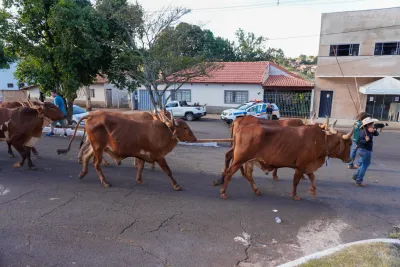 Chegada dos Carros de Bois - 10/08/2026