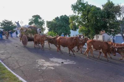 Chegada dos Carros de Bois - 10/08/2026