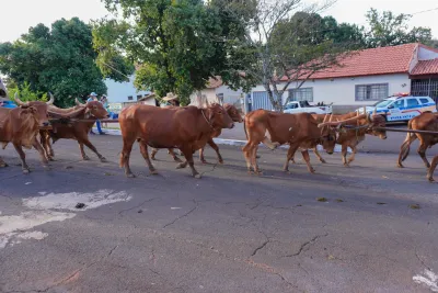 Chegada dos Carros de Bois - 10/08/2026