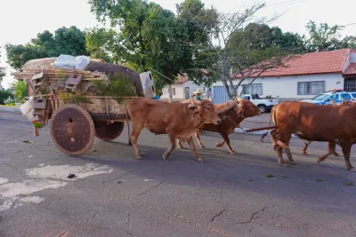 Chegada dos Carros de Bois - 10/08/2026