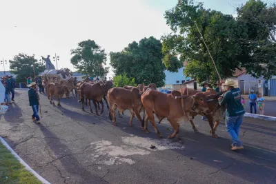 Chegada dos Carros de Bois - 10/08/2026