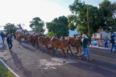 Chegada dos Carros de Bois - 10/08/2026