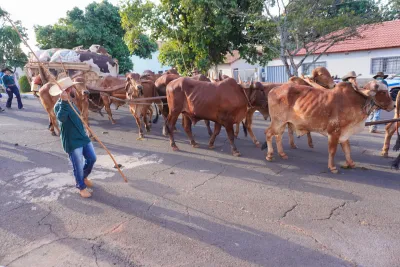 Chegada dos Carros de Bois - 10/08/2026