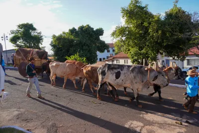 Chegada dos Carros de Bois - 10/08/2026