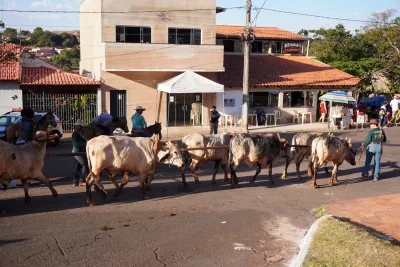 Chegada dos Carros de Bois - 10/08/2026