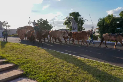 Chegada dos Carros de Bois - 10/08/2026