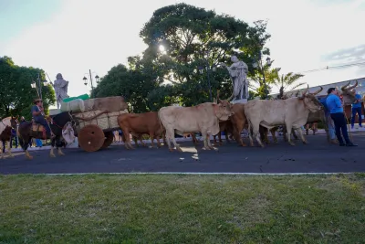 Chegada dos Carros de Bois - 10/08/2026