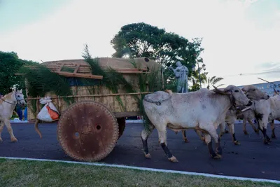 Chegada dos Carros de Bois - 10/08/2026
