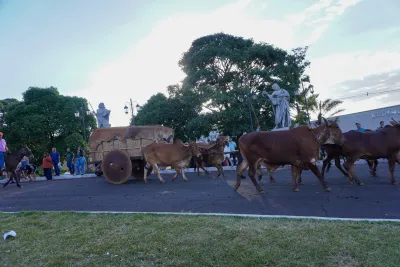Chegada dos Carros de Bois - 10/08/2026