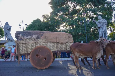 Chegada dos Carros de Bois - 10/08/2026