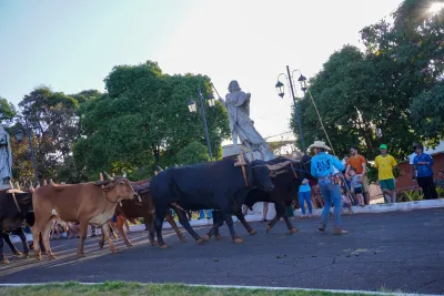 Chegada dos Carros de Bois - 10/08/2026