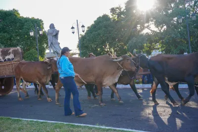 Chegada dos Carros de Bois - 10/08/2026
