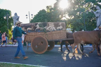 Chegada dos Carros de Bois - 10/08/2026