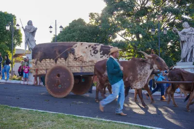 Chegada dos Carros de Bois - 10/08/2026