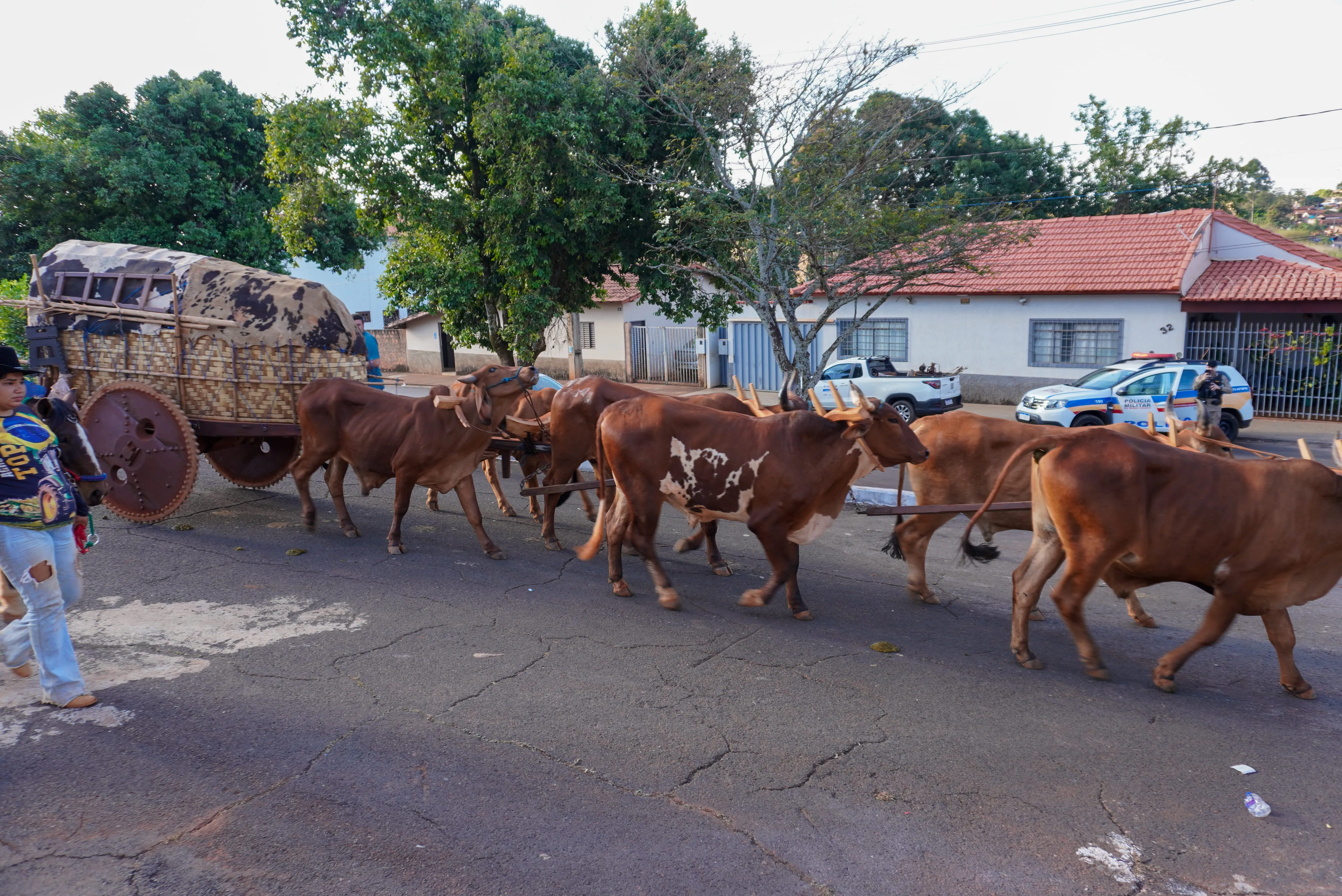 Chegada dos Carros de Bois - 10/08/2026