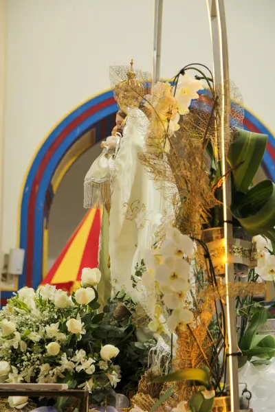 Quinto dia da Novena: BÊNÇÃO DOS TERÇOS (Pe. Geovane Geraldo) - 10 de Agosto