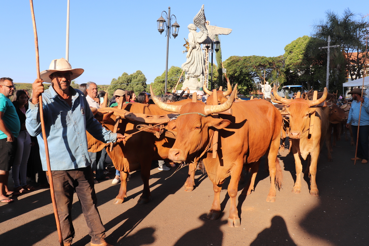 Chegada da Romaria dos Carros de Bois